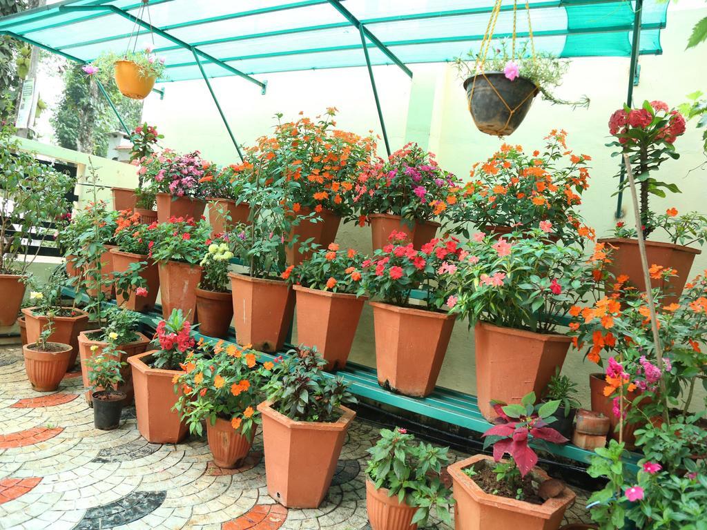 Mangalappillil Homestay Munnar Kültér fotó